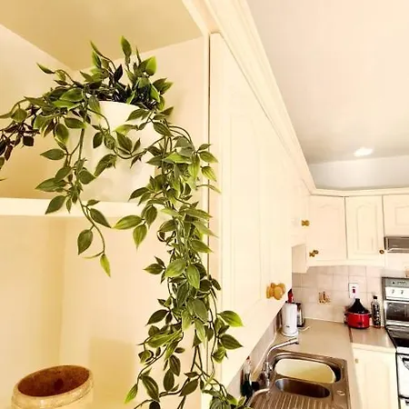 Spacious Seaside Bungalow With Harbour Views Willa *